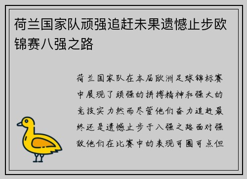 荷兰国家队顽强追赶未果遗憾止步欧锦赛八强之路